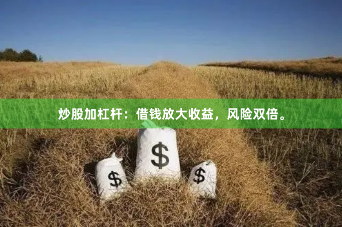 炒股加杠杆：借钱放大收益，风险双倍。